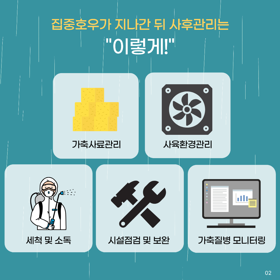 집중호우가 지나간 뒤 사후관리는 이렇게 가축사료관리, 사육환경관리, 세척및소독, 시설점검및보완, 가축질병모니터링