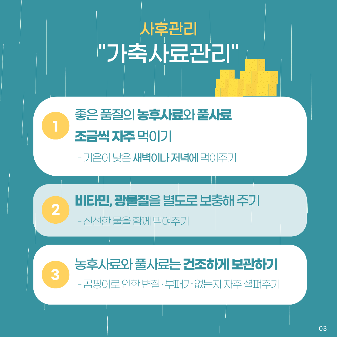 사후관리 가축사료관리 1.총은품질의 농후사료와 풀사료 조금씩 자주 먹이기 기온이 낮은 새벽이나 저녁에 먹이주기 2.비타민, 광물질을 별도로 보충해주기 신선한 물을 함께 먹여주기 3.농후사료와 풀사료는 건조하게 보관하기 곰팡이로 인한 변질.부패가 없는지 자주 살펴주기
