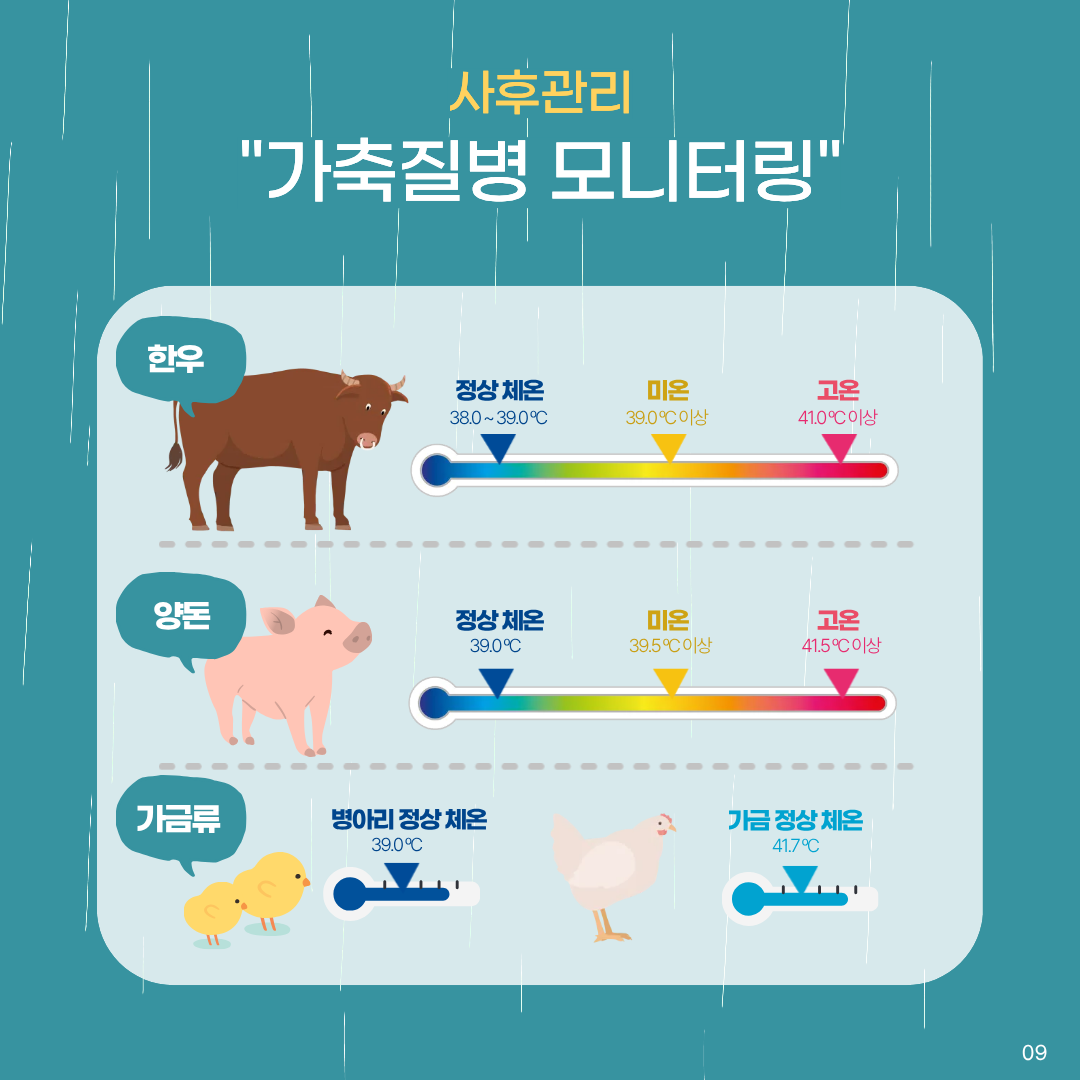 사후관리 가축질병 모니터링 한우 정상체온 38.0-39.0℃ 미온 39.0℃이상 고온 41.0℃이상 양돈 정상체온 39.0℃ 미온 39.5℃이상 고온 41.5℃이상 가금류 병아리정상체온 39.0℃ 가금정상체온 41.7℃