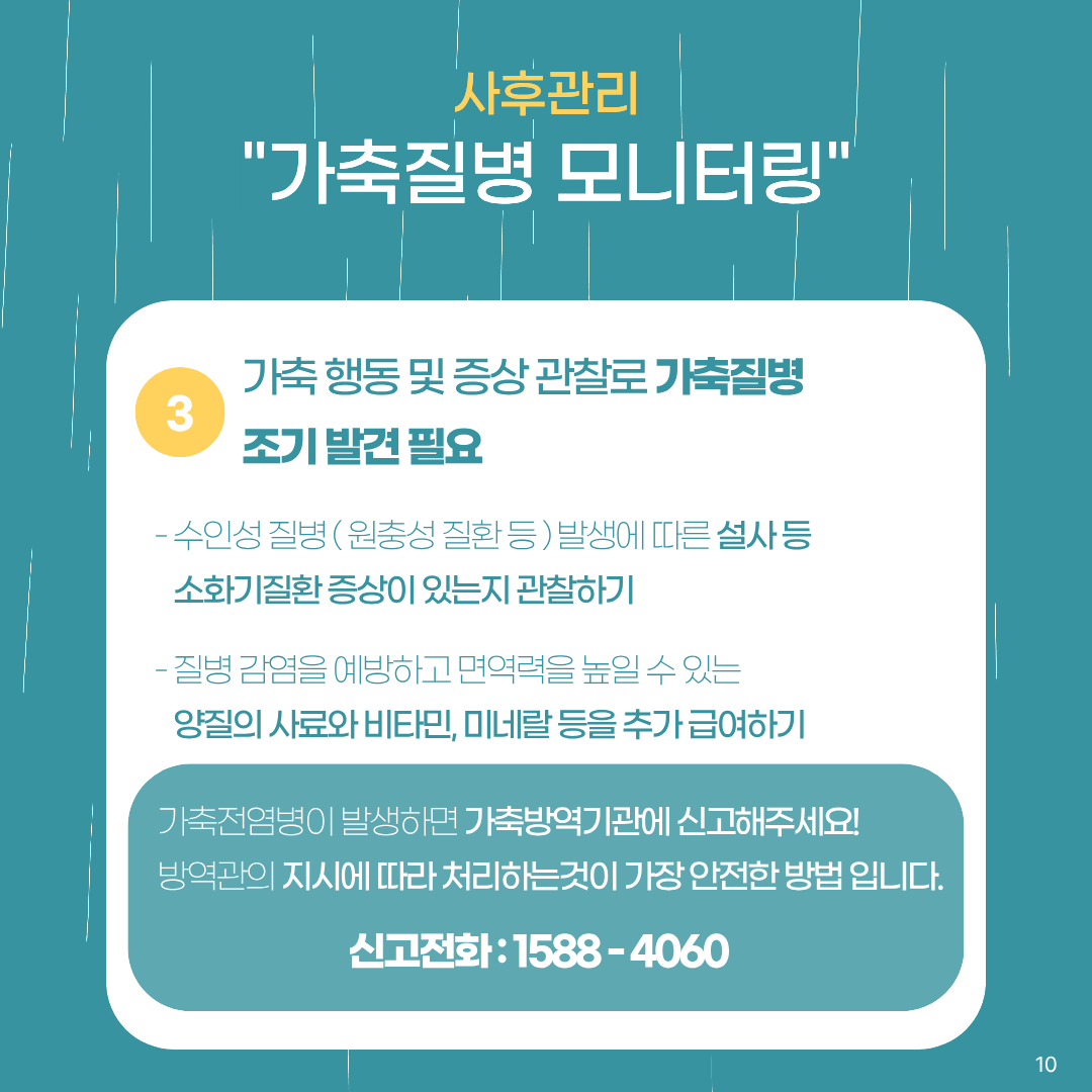 사후관리 가축질병 모니터링 3.가축 행동 및 증상 관찰로 가축질병 조기 발견 필요 -수인성 질병(원충성 질환 등) 발생에 따른 설사 등 소화기질환 증상이 있는지 관찰하기 -질병 감염을 예방하고 면역력을 높일 수 있는 양질의 사료와 비타민, 미네랄 등을 추가 급여하기 가축전염병이 발생하면 가축방역기관에 신고해주세요. 방역관의 지시에 따라 처리하는 것이 가장 안전한 방법입니다. 신고전화 1588-4060