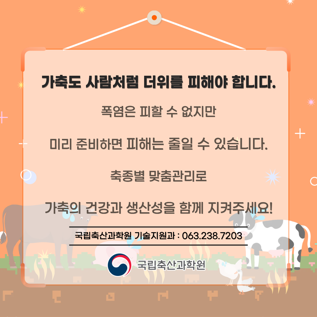 가축도 사람처럼 더위를 피해야 합니다. 폭염은 피할 수 없지만 미리 준비하면 피해는 줄일 수 있습니다. 축종별 맞춤관리로 가축의 건강과 생산성을 함께 지켜주세요! 국립축산과학원 기술지원과 : 063.238.7203 국립축산과학원