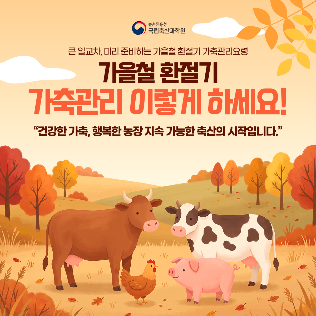 큰 일교차, 미리 준비하는 가을철 환절기 가축관리 요령
가축관리 이렇게 하세요.
건강한 가축, 행복한 농장 지속 가능한 축산의 시작입니다.