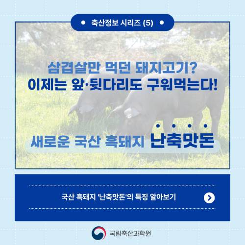 삼겹살만 먹던 돼지고기? 이제 앞.뒷다리도 구워 먹는다.새로운 국산 흑돼지 난축맛돈 국산흑돼지 난축맛돈의 특징 알아보기