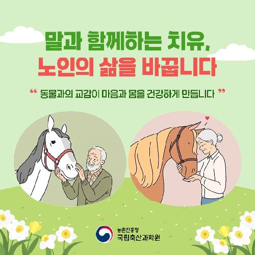 말과 함께하는 치유, 노인의 삶을 바꿉니다 동물과의 교감이 마음과 몸을 건강하게 만듭니다 농촌진흥청 국립축산과학원