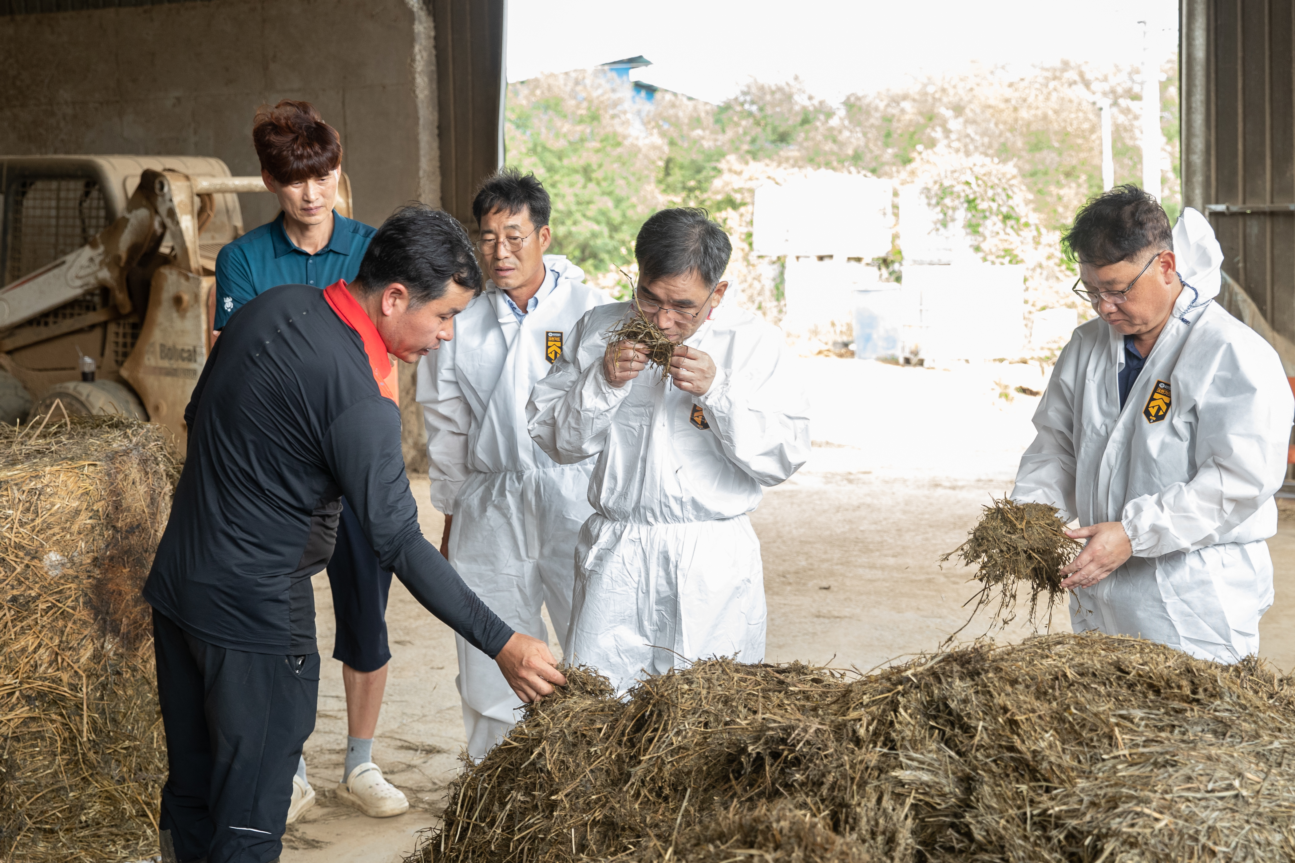 국산 알팔파 실증시험 착수 현장 방문(2025.08.28) 사진3
