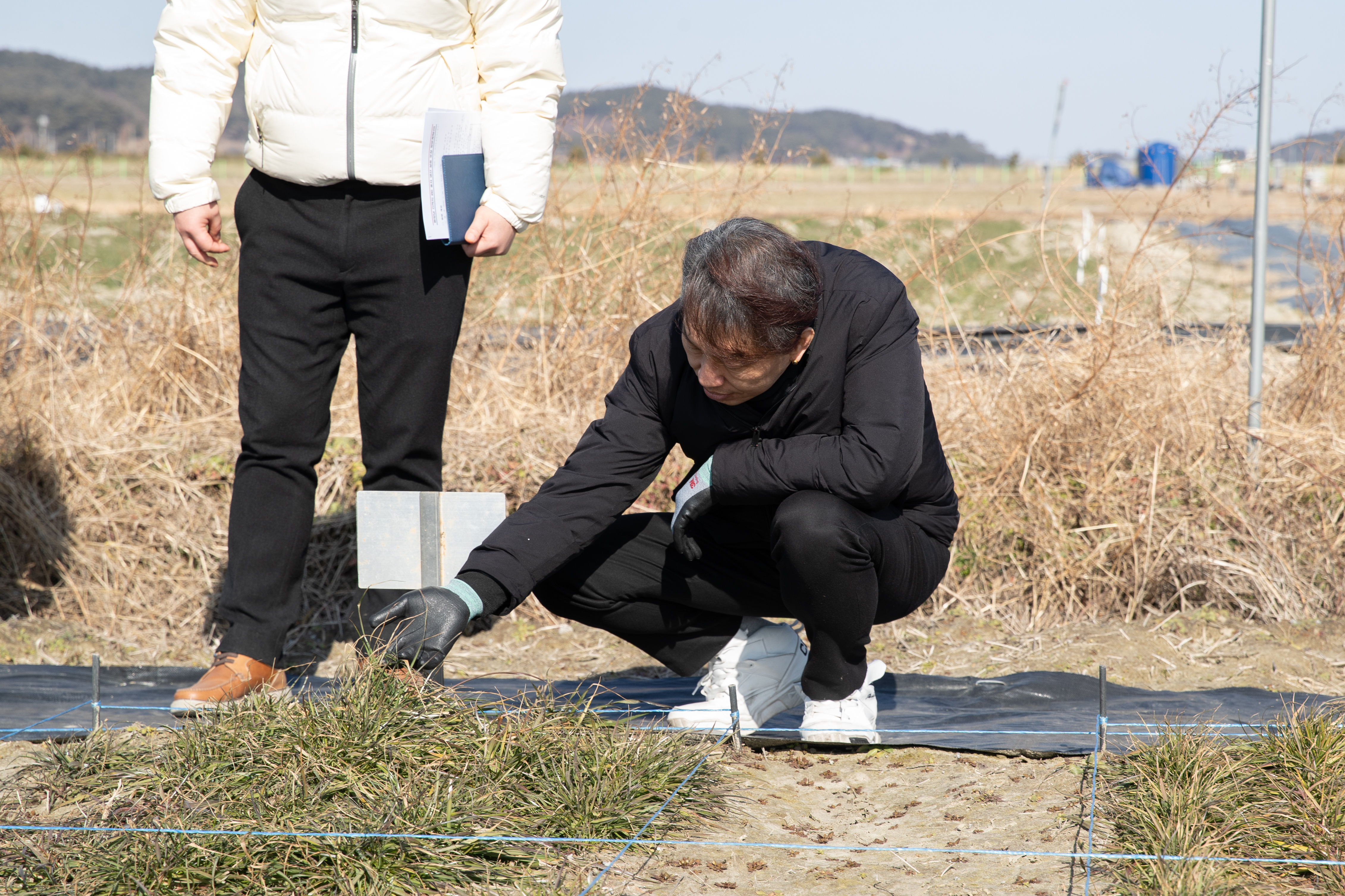동계 사료작물 월동 관리 현장 점검(2026.01.28) 사진1